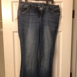 Ann Taylor Loft Jeans! ONLY WORN ONCE
